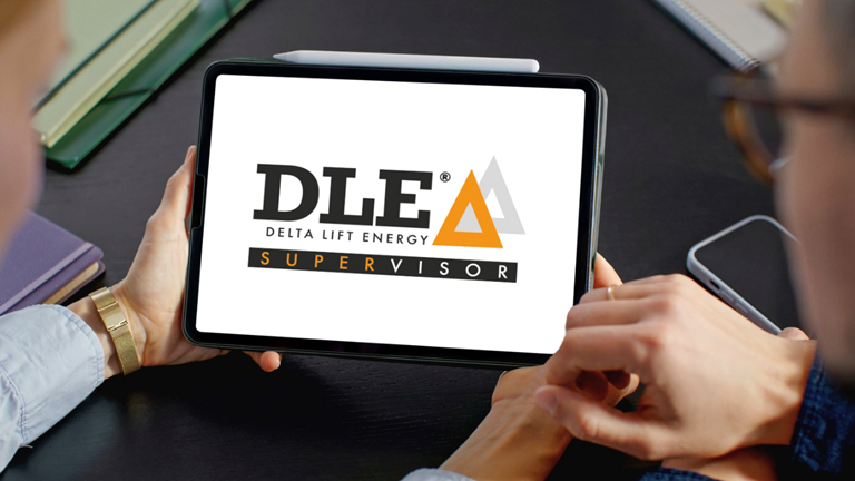 DLE Supervisor
